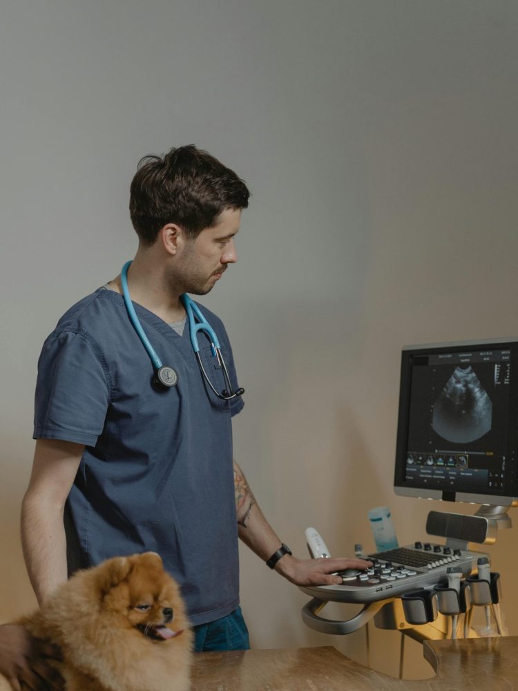 pexels tima miroshnichenko 6235657